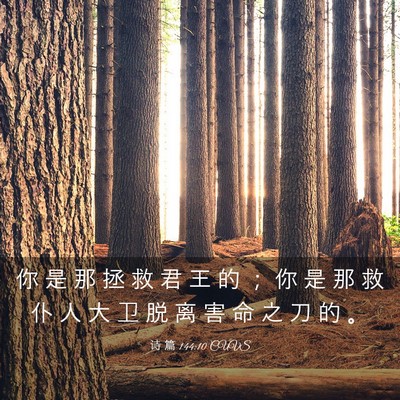 Picture 03 - 诗 篇 144:10 CUVS - 你 是 那 拯 救 君 王 的 ； 你 是 那 - Bible Verse Picture