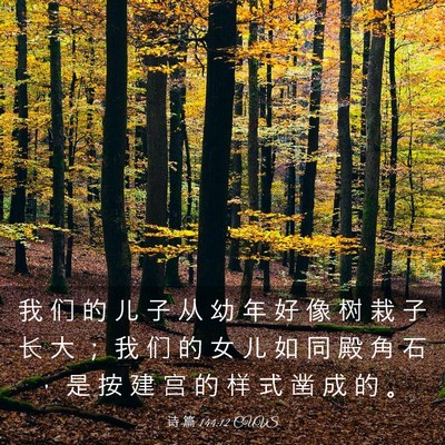Picture 03 - 诗 篇 144:12 CUVS - 我 们 的 儿 子 从 幼 年 好 像 树 栽 - Bible Verse Picture