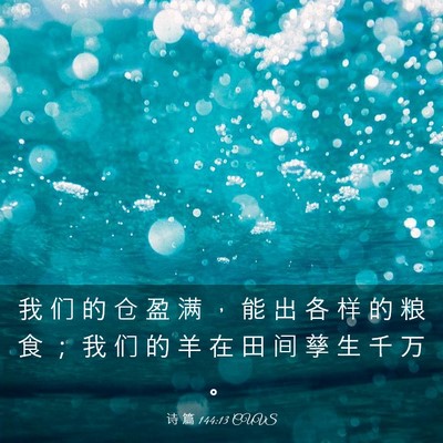 Picture 03 - 诗 篇 144:13 CUVS - 我 们 的 仓 盈 满 ， 能 出 各 样 的 - Bible Verse Picture