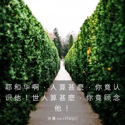 Picture 03 - 诗 篇 144:3 CUVS - 耶 和 华 啊 ， 人 算 甚 麽 ， 你 竟 - Bible Verse Picture