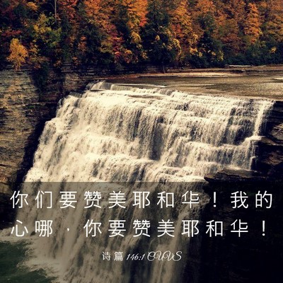 Picture 03 - 诗 篇 146:1 CUVS - 你 们 要 赞 美 耶 和 华 ！ 我 的 心 - Bible Verse Picture