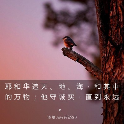 Picture 03 - 诗 篇 146:6 CUVS - 耶 和 华 造 天 、 地 、 海 ， 和 其 - Bible Verse Picture