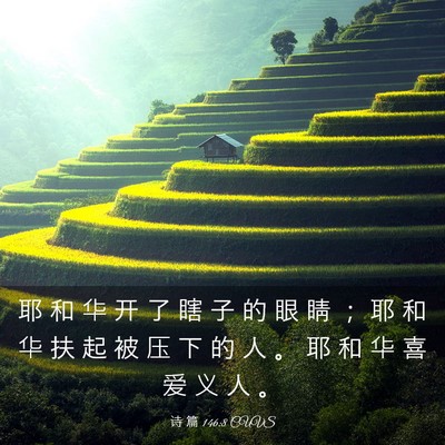 Picture 03 - 诗 篇 146:8 CUVS - 耶 和 华 开 了 瞎 子 的 眼 睛 ； 耶 - Bible Verse Picture
