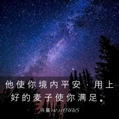 Picture 03 - 诗 篇 147:14 CUVS - 他 使 你 境 内 平 安 ， 用 上 好 的 - Bible Verse Picture