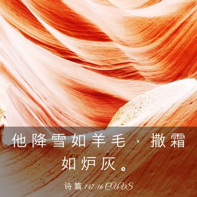 Picture 03 - 诗 篇 147:16 CUVS - 他 降 雪 如 羊 毛 ， 撒 霜 如 炉 灰 - Bible Verse Picture