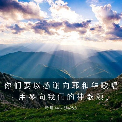 Picture 03 - 诗 篇 147:7 CUVS - 你 们 要 以 感 谢 向 耶 和 华 歌 唱 - Bible Verse Picture