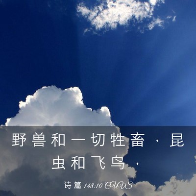 Picture 03 - 诗 篇 148:10 CUVS - 野 兽 和 一 切 牲 畜 ， 昆 虫 和 飞 - Bible Verse Picture