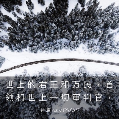 Picture 03 - 诗 篇 148:11 CUVS - 世 上 的 君 王 和 万 民 ， 首 领 和 - Bible Verse Picture
