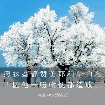 Picture 03 - 诗 篇 148:5 CUVS - 愿 这 些 都 赞 美 耶 和 华 的 名 ！ - Bible Verse Picture