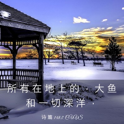 Picture 03 - 诗 篇 148:7 CUVS - 所 有 在 地 上 的 ， 大 鱼 和 一 切 - Bible Verse Picture