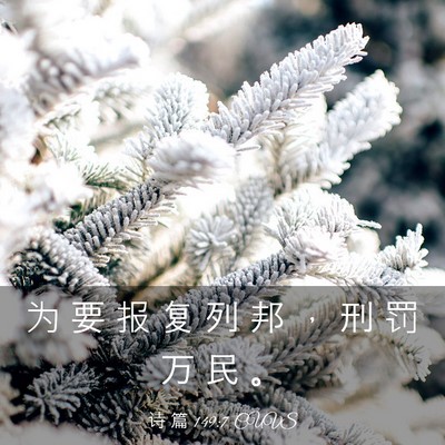 Picture 03 - 诗 篇 149:7 CUVS - 为 要 报 复 列 邦 ， 刑 罚 万 民 - Bible Verse Picture