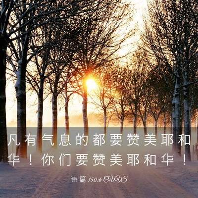 Picture 03 - 诗 篇 150:6 CUVS - 凡 有 气 息 的 都 要 赞 美 耶 和 华 - Bible Verse Picture