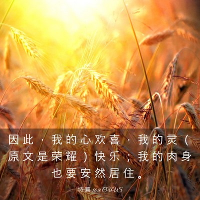 Picture 03 - 诗 篇 16:9 CUVS - 因 此 ， 我 的 心 欢 喜 ， 我 的 灵 - Bible Verse Picture