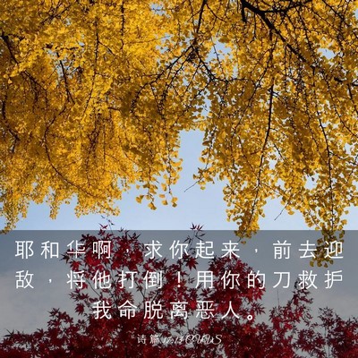 Picture 03 - 诗 篇 17:13 CUVS - 耶 和 华 啊 ， 求 你 起 来 ， 前 去 - Bible Verse Picture