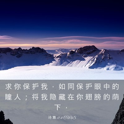 Picture 03 - 诗 篇 17:8 CUVS - 求 你 保 护 我 ， 如 同 保 护 眼 中 - Bible Verse Picture