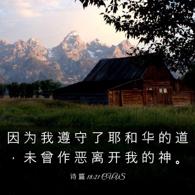 Picture 03 - 诗 篇 18:21 CUVS - 因 为 我 遵 守 了 耶 和 华 的 道 ， - Bible Verse Picture