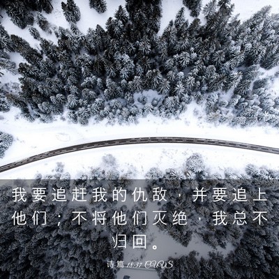 Picture 03 - 诗 篇 18:37 CUVS - 我 要 追 赶 我 的 仇 敌 ， 并 要 追 - Bible Verse Picture