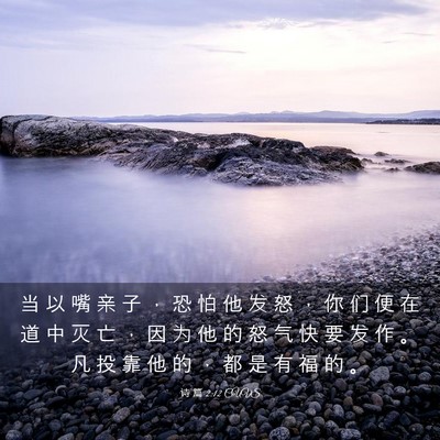 Picture 03 - 诗 篇 2:12 CUVS - 当 以 嘴 亲 子 ， 恐 怕 他 发 怒 ， - Bible Verse Picture