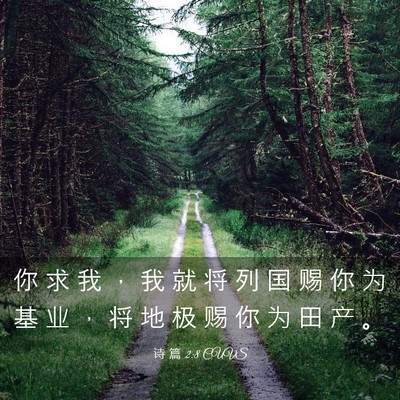 Picture 03 - 诗 篇 2:8 CUVS - 你 求 我 ， 我 就 将 列 国 赐 你 为 - Bible Verse Picture