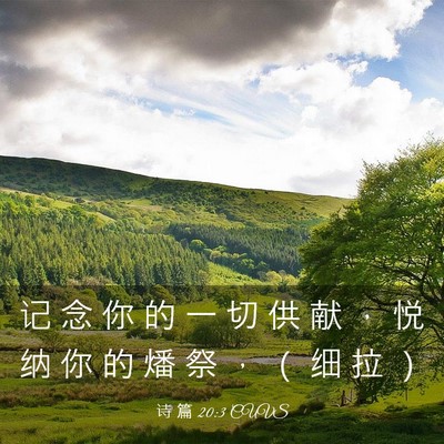 Picture 03 - 诗 篇 20:3 CUVS - 记 念 你 的 一 切 供 献 ， 悦 纳 你 - Bible Verse Picture