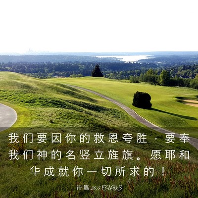 Picture 03 - 诗 篇 20:5 CUVS - 我 们 要 因 你 的 救 恩 夸 胜 ， 要 - Bible Verse Picture