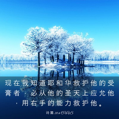 Picture 03 - 诗 篇 20:6 CUVS - 现 在 我 知 道 耶 和 华 救 护 他 的 - Bible Verse Picture