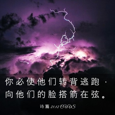 Picture 03 - 诗 篇 21:12 CUVS - 你 必 使 他 们 转 背 逃 跑 ， 向 他 - Bible Verse Picture