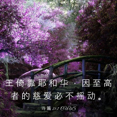 Picture 03 - 诗 篇 21:7 CUVS - 王 倚 靠 耶 和 华 ， 因 至 高 者 的 - Bible Verse Picture
