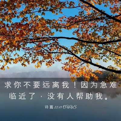 Picture 03 - 诗 篇 22:11 CUVS - 求 你 不 要 远 离 我 ！ 因 为 急 难 - Bible Verse Picture