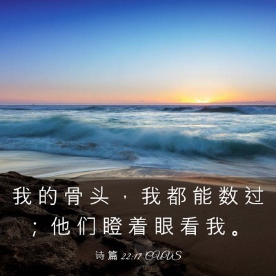 Picture 03 - 诗 篇 22:17 CUVS - 我 的 骨 头 ， 我 都 能 数 过 ； 他 - Bible Verse Picture