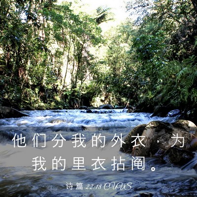 Picture 03 - 诗 篇 22:18 CUVS - 他 们 分 我 的 外 衣 ， 为 我 的 里 - Bible Verse Picture