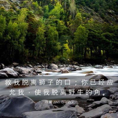 Picture 03 - 诗 篇 22:21 CUVS - 救 我 脱 离 狮 子 的 口 ； 你 已 经 - Bible Verse Picture