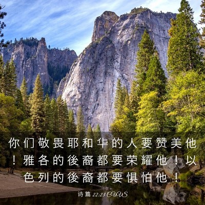 Picture 03 - 诗 篇 22:23 CUVS - 你 们 敬 畏 耶 和 华 的 人 要 赞 美 - Bible Verse Picture
