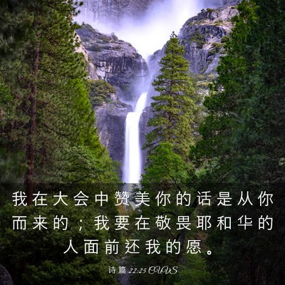 Picture 03 - 诗 篇 22:25 CUVS - 我 在 大 会 中 赞 美 你 的 话 是 从 - Bible Verse Picture
