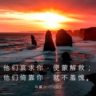 Picture 03 - 诗 篇 22:5 CUVS - 他 们 哀 求 你 ， 便 蒙 解 救 ； 他 - Bible Verse Picture