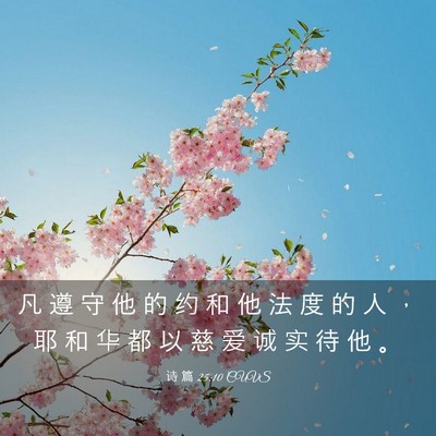 Picture 03 - 诗 篇 25:10 CUVS - 凡 遵 守 他 的 约 和 他 法 度 的 人 - Bible Verse Picture