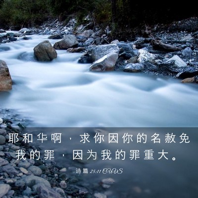 Picture 03 - 诗 篇 25:11 CUVS - 耶 和 华 啊 ， 求 你 因 你 的 名 赦 - Bible Verse Picture
