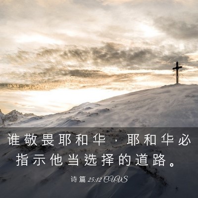 Picture 03 - 诗 篇 25:12 CUVS - 谁 敬 畏 耶 和 华 ， 耶 和 华 必 指 - Bible Verse Picture