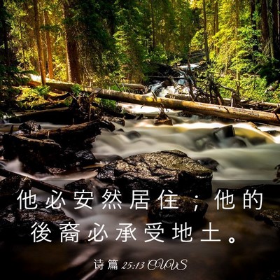 Picture 03 - 诗 篇 25:13 CUVS - 他 必 安 然 居 住 ； 他 的 後 裔 必 - Bible Verse Picture