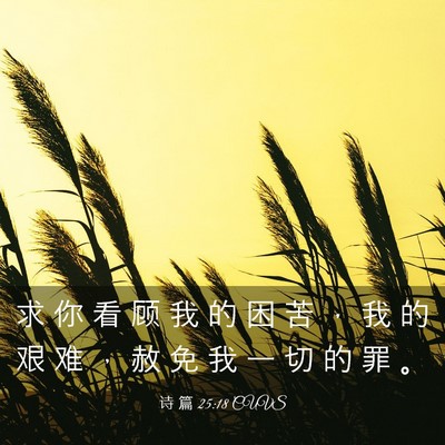 Picture 03 - 诗 篇 25:18 CUVS - 求 你 看 顾 我 的 困 苦 ， 我 的 艰 - Bible Verse Picture