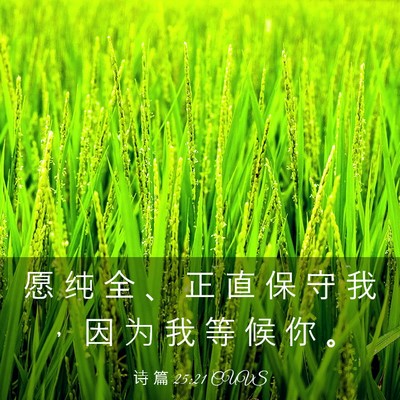 Picture 03 - 诗 篇 25:21 CUVS - 愿 纯 全 、 正 直 保 守 我 ， 因 为 - Bible Verse Picture