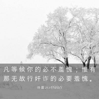 Picture 03 - 诗 篇 25:3 CUVS - 凡 等 候 你 的 必 不 羞 愧 ； 惟 有 - Bible Verse Picture