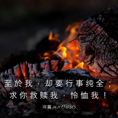 Picture 03 - 诗 篇 26:11 CUVS - 至 於 我 ， 却 要 行 事 纯 全 ； 求 - Bible Verse Picture