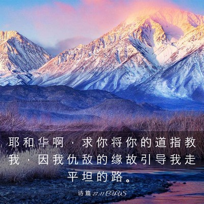 Picture 03 - 诗 篇 27:11 CUVS - 耶 和 华 啊 ， 求 你 将 你 的 道 指 - Bible Verse Picture