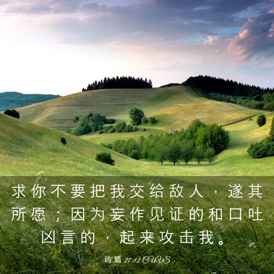 Picture 03 - 诗 篇 27:12 CUVS - 求 你 不 要 把 我 交 给 敌 人 ， 遂 - Bible Verse Picture