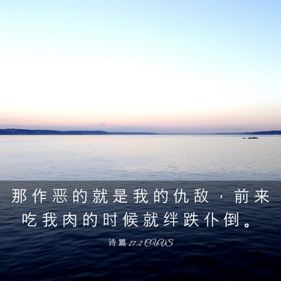 Picture 03 - 诗 篇 27:2 CUVS - 那 作 恶 的 就 是 我 的 仇 敌 ， 前 - Bible Verse Picture