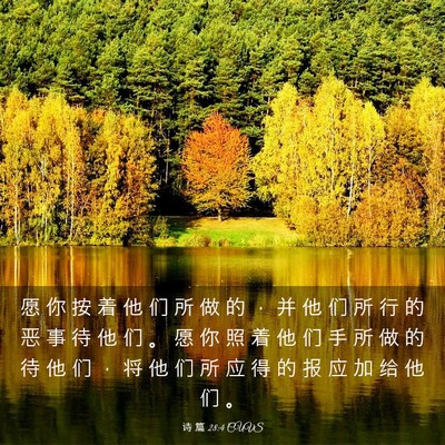Picture 03 - 诗 篇 28:4 CUVS - 愿 你 按 着 他 们 所 做 的 ， 并 他 - Bible Verse Picture