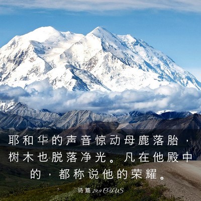 Picture 03 - 诗 篇 29:9 CUVS - 耶 和 华 的 声 音 惊 动 母 鹿 落 胎 - Bible Verse Picture