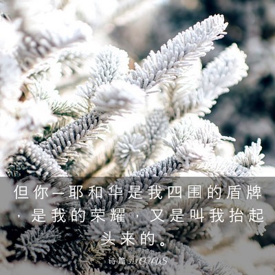 Picture 03 - 诗 篇 3:3 CUVS - 但 你 ─ 耶 和 华 是 我 四 围 的 盾 - Bible Verse Picture