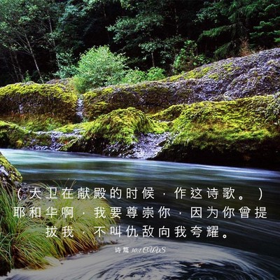 Picture 03 - 诗 篇 30:1 CUVS - （ 大 卫 在 献 殿 的 时 候 ， 作 这 - Bible Verse Picture